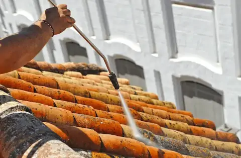 Nettoyage de toitures - Plaisir